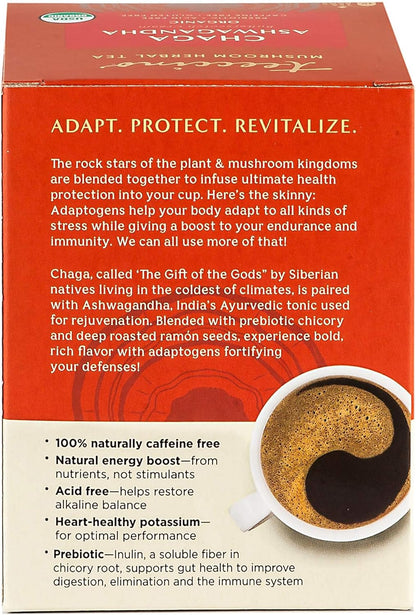 Teeccino 蘑菇适应原茶 - 白桦茸南非醉茄法式烘焙草本茶，采用野生白桦茸和阿育吠陀南非醉茄根，增强免疫力，10 个茶包