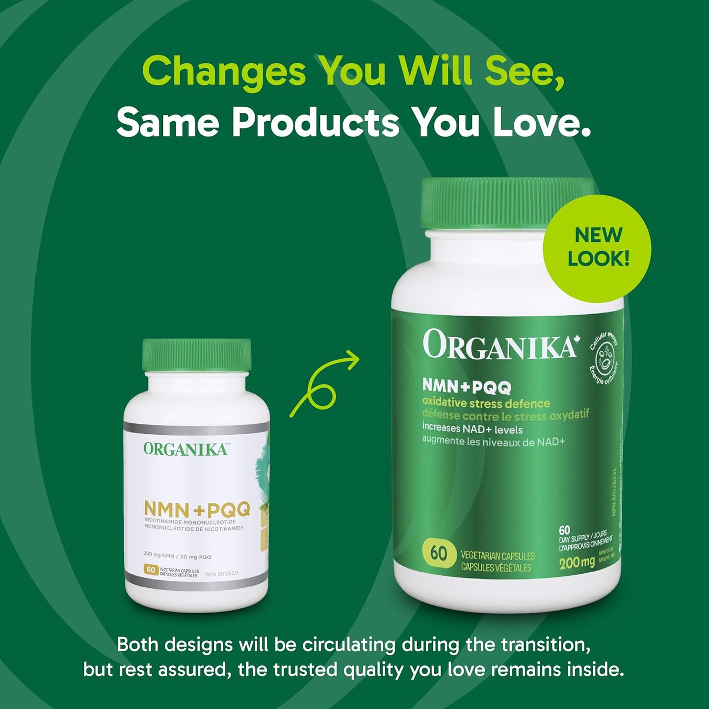 Organika 加拿大製造 NMN + PQQ - 抗衰老支持補充劑，促進細胞再生、能量代謝、認知功能 - 60 粒膠囊