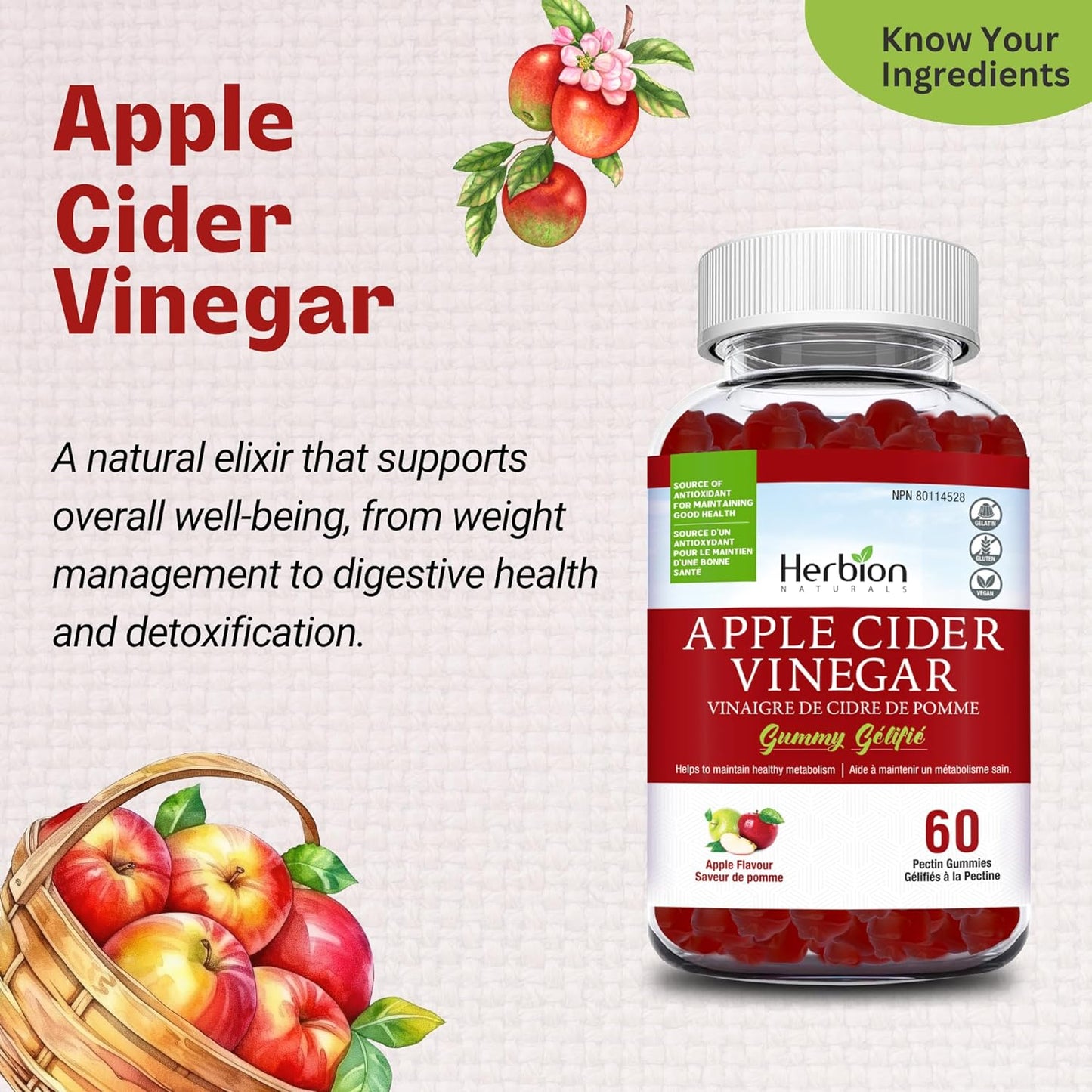 Herbion Naturals 蘋果醋軟糖，含葉酸、石榴、甜菜根和維生素 B12，是維持身體健康和新陳代謝的抗氧化劑來源，成人適用，60 粒果膠軟糖，蘋果味