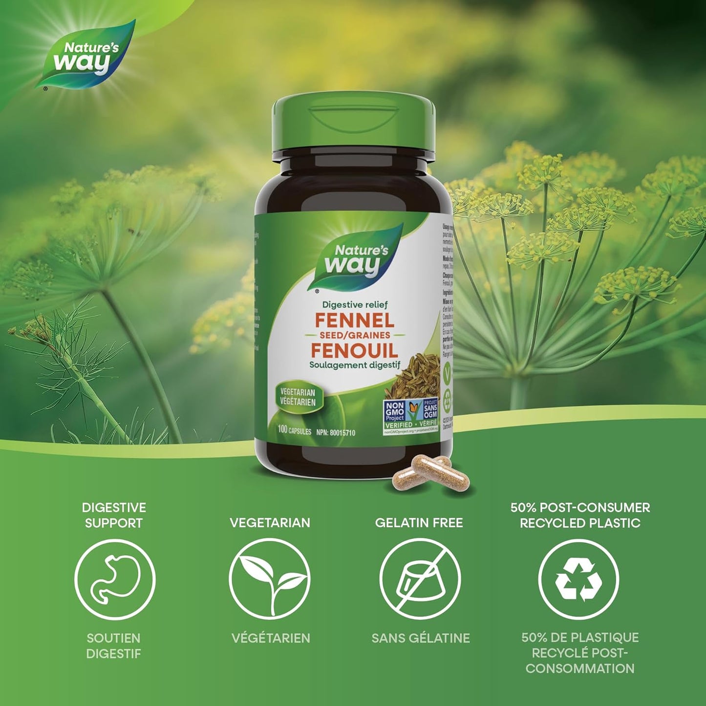 Nature's Way 优质茴香籽胶囊 - 草本助消化和止咳，素食，非转基因，100 粒