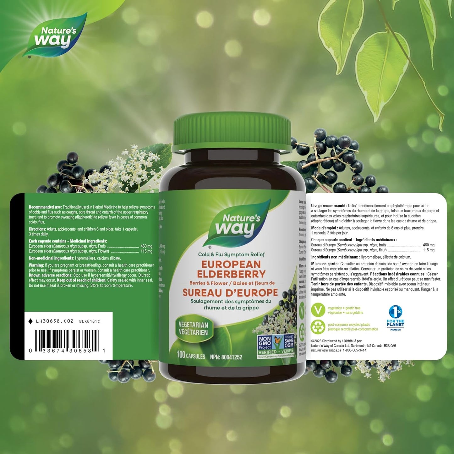 Nature's Way 欧洲接骨木胶囊 - 缓解感冒和流感症状 - 咳嗽、咽喉痛支持补充剂 - 接骨木浆果和花 - 非转基因认证 - 素食 - 成人和儿童适用 - 100 粒胶囊