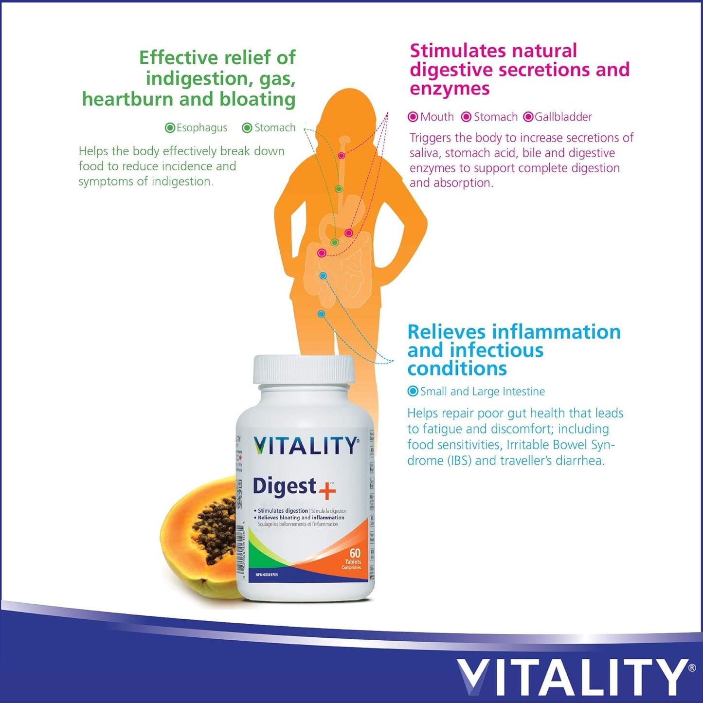 VITALITY Digest+ 全草本补充剂 - 60 片
