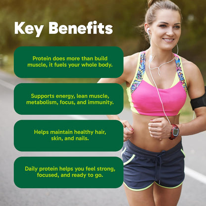 Organika 有機植物蛋白粉巧克力味，含益生元和益生菌 - 22 克純素蛋白，4 克膳食纖維，支持消化、腸道健康、能量和肌肉恢復 - 低糖，非基因改造 - 780 克