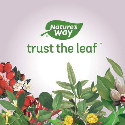 Nature's Way 牛至油，抗氧化劑，60 粒素食膠囊