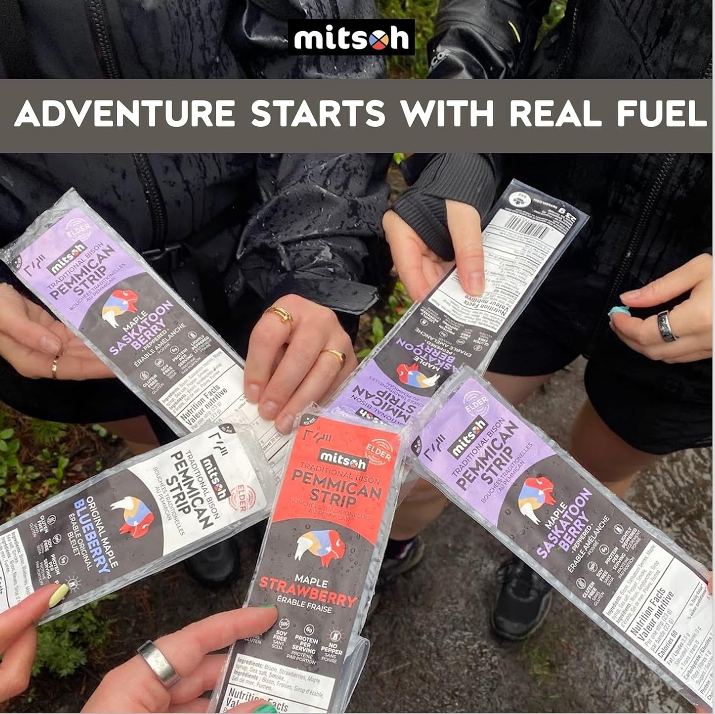 野牛藍莓肉乾零食 | 原住民超級食物 | 採用草飼野牛製成 | 加拿大原住民所有 | 高蛋白、無麩質、無大豆，4 包