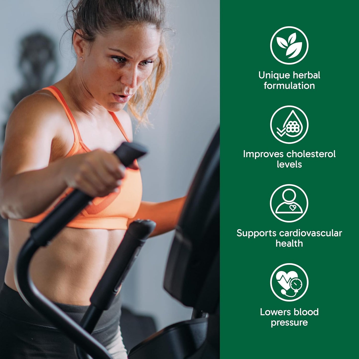 Organika 加拿大制造胆固醇 90 片