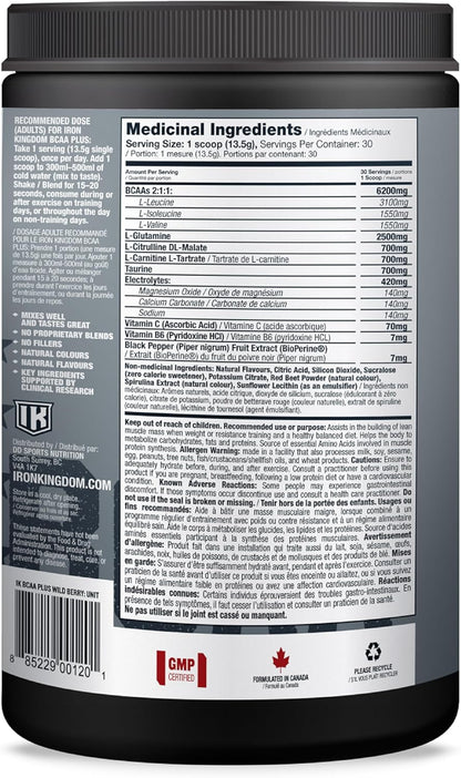 IRON KINGDOM BCAA PLUS WILD BERRY 10.1克 胺基酸、電解質、麩醯胺酸、耐力、恢復、補水