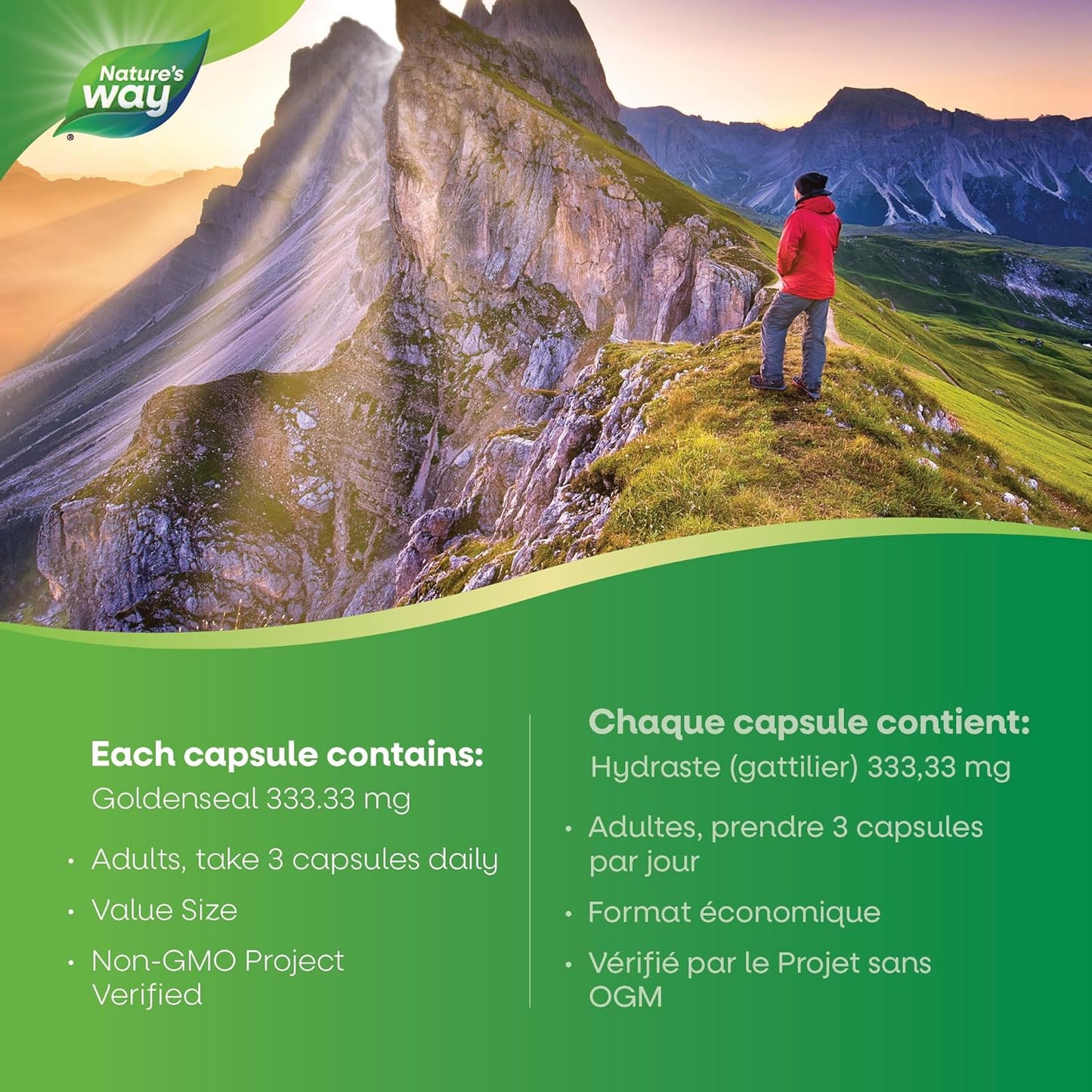 Nature's Way 黃連根 – 緩解消化不良 – 幫助消化 – 溫和瀉藥 – 非基因改造 – 100 粒素食膠囊，超值裝