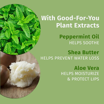 Hempz Pink Peppermint Meringue Lip Balm, Nourishing Lip Care, Limited Edition Gloss .44 fl.oz.