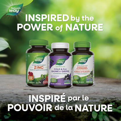 Sambucus Elderberry Cold and Flu Care Capsules, 90 Vegetarian Capsules, Non-GMO Project Verified