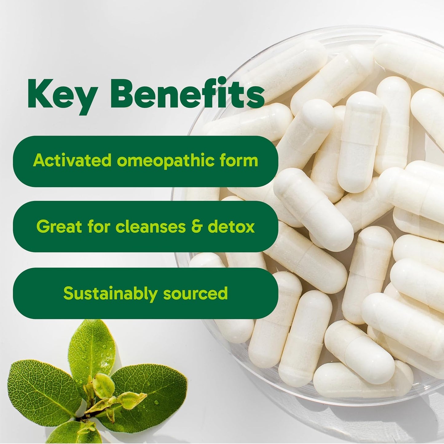 Organika 加拿大製造活性碳 - 順勢療法活性碳，有助於消化，排毒，緩解脹氣和腹脹 - 90 粒膠囊