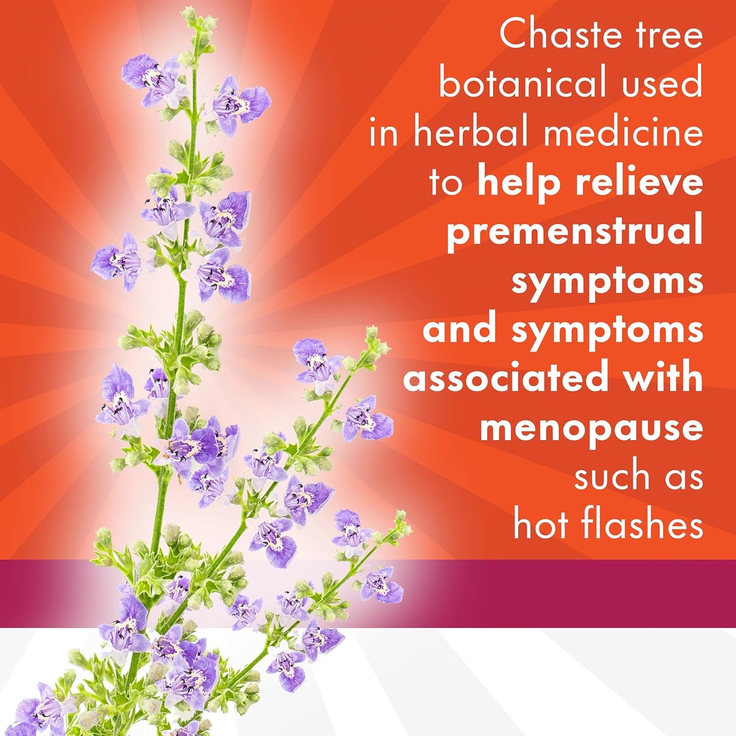 Align Probiotic，女性双效多菌株益生菌，含圣洁莓，舒缓偶发性腹部不适、胀气、腹胀，28粒胶囊