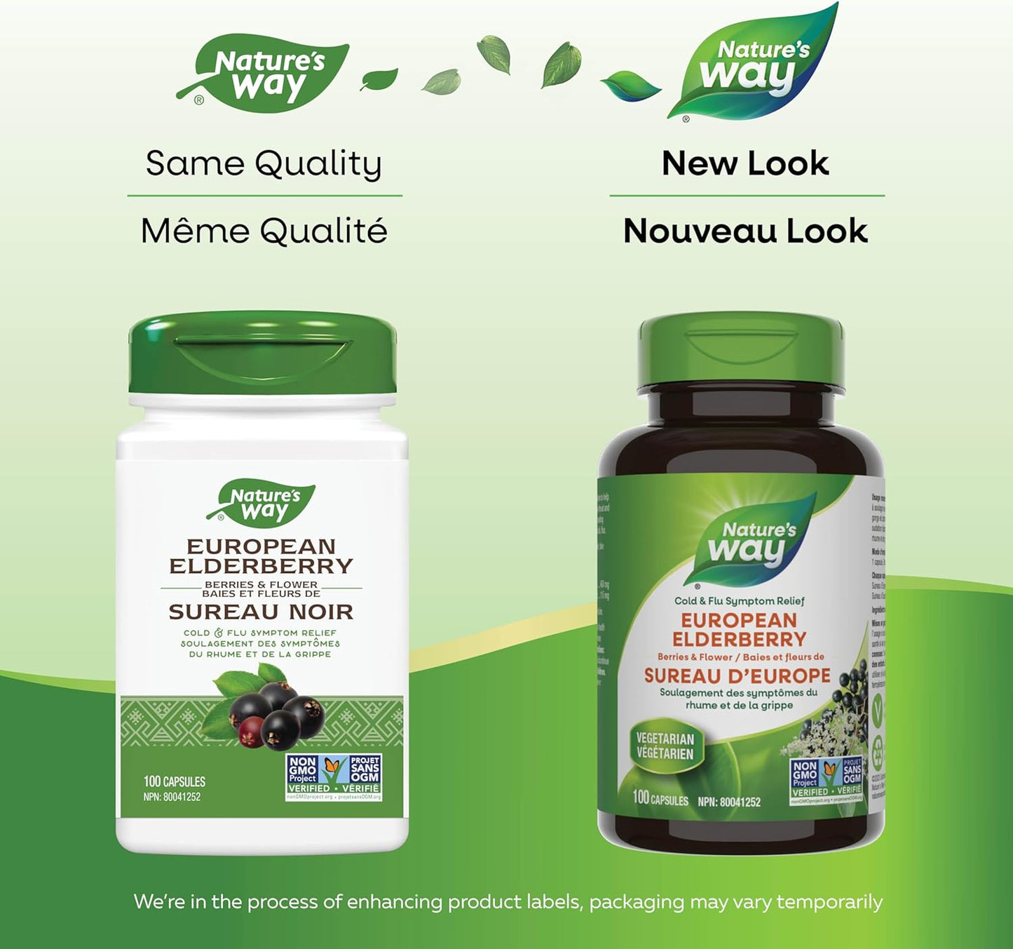 Nature's Way 欧洲接骨木胶囊 - 缓解感冒和流感症状 - 咳嗽、咽喉痛支持补充剂 - 接骨木浆果和花 - 非转基因认证 - 素食 - 成人和儿童适用 - 100 粒胶囊