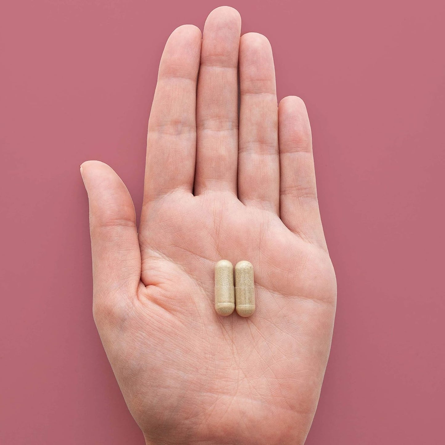 HEAL + CO. 蘋果醋補充劑 | 高效 5:1 萃取物，每份 5000 毫克 | 礦物質支持 + 消化 | 120 x 500 毫克膠囊