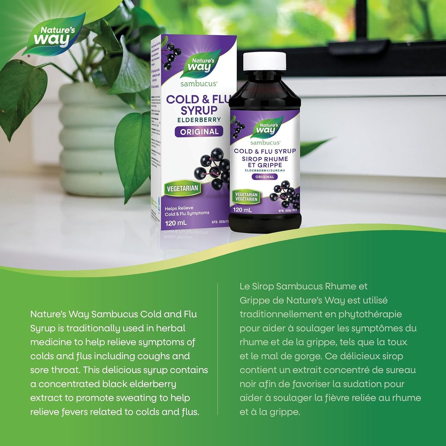 Nature's Way 接骨木感冒和流感护理原味 - 草药接骨木糖浆，有助于缓解成人症状（咳嗽和喉咙痛），120 毫升