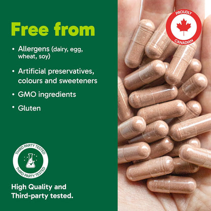 Organika 加拿大制造红曲米 - 植物固醇，胆固醇支持 - 180 粒胶囊