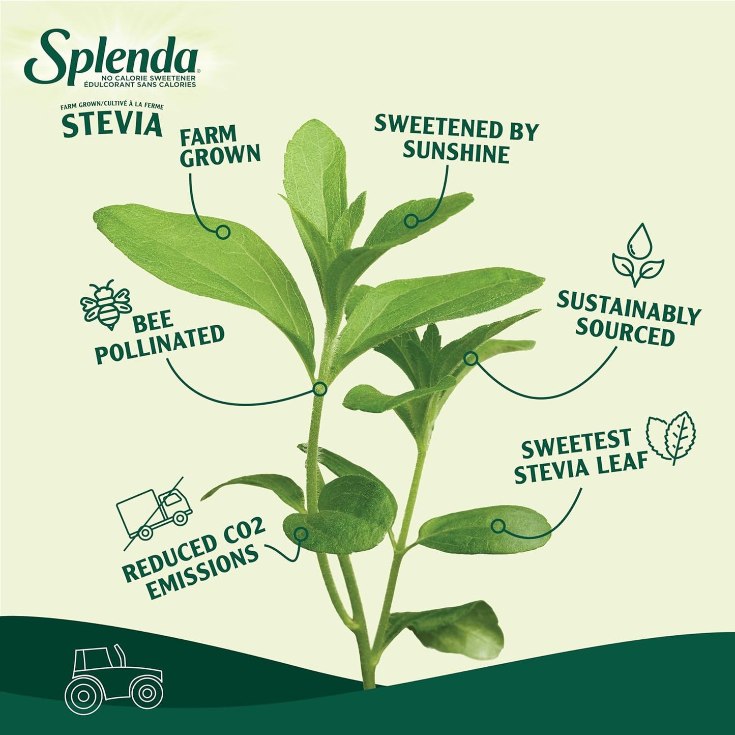 SPLENDA Stevia No Calorie Sweetener, Plant Based Sugar Substitute Granulated Powder, 9.8 oz Jar