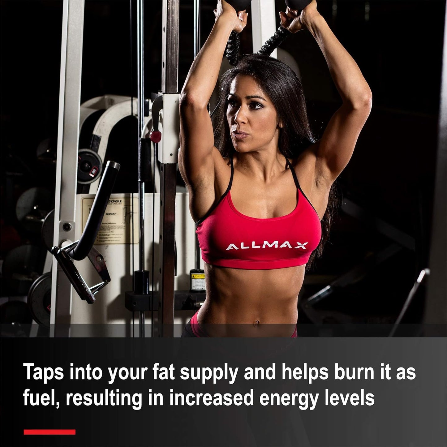 ALLMAX Nutrition - 左旋肉鹼液體 + 維生素 B5 - 藍莓口味 - 473 毫升 & ZMX2，90 粒裝