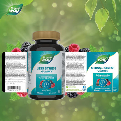 Nature’s Way 舒缓压力南非醉茄软糖 – 成人压力缓解补充剂 – 经临床研究，Sensoril® 南非醉茄，减轻压力症状，天然混合浆果口味，60 粒素食软糖