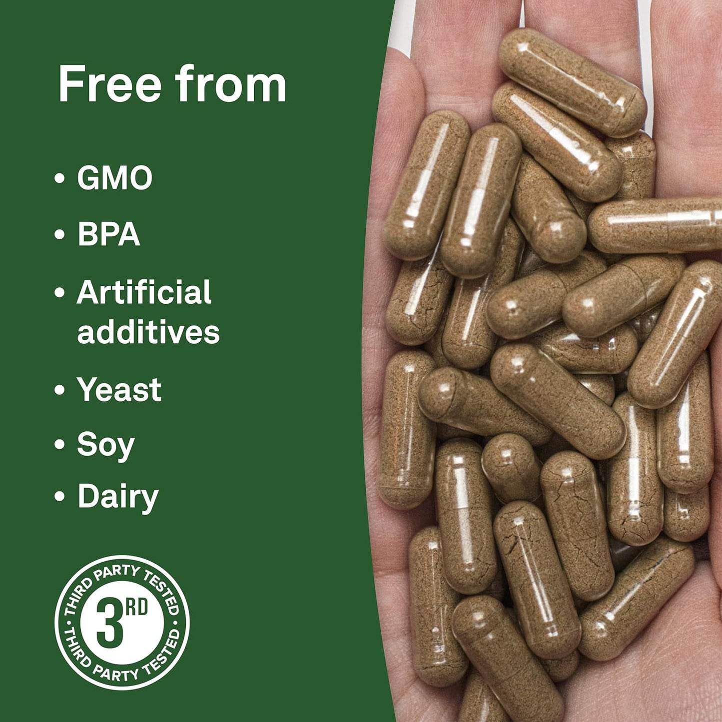 Organika 火雞尾蘑菇 - 有機 450 毫克 10:1 萃取物 - 免疫支持 - 90 粒膠囊