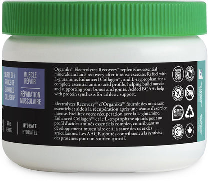 Organika 電解質恢復 - 無糖運動後補充劑，含支鏈氨基酸和 L-谷氨酰胺 - 漿果味 - 180 克，30 份