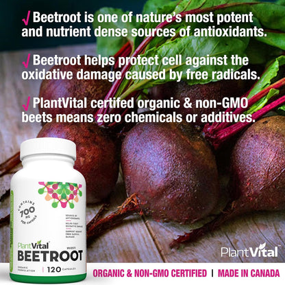 PlantVital Organic Beetroot 1400mg per day -Made in Canada, Health Canada Licensed- Antioxidant Beet Root Supplement - Protects Against Oxidative Damage and Free Radicals -120 Capsules, 2-Month Supply