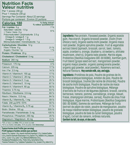 Vega 全效合一素食蛋白粉 天然無糖運動蛋白 素食蛋白粉，摩卡口味（19 份）支鏈胺基酸