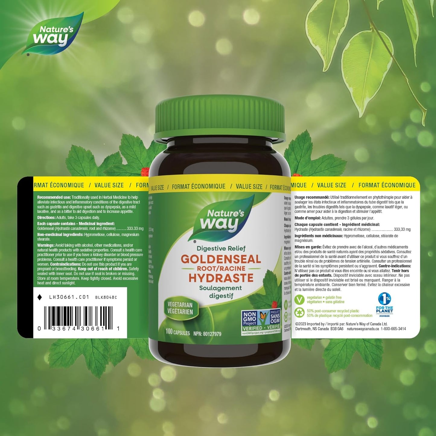 Nature's Way 黃連根 – 緩解消化不良 – 幫助消化 – 溫和瀉藥 – 非基因改造 – 100 粒素食膠囊，超值裝