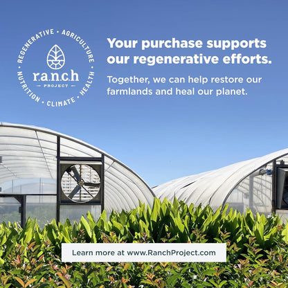 Ancient Nutrition 多胶原蛋白粉 - 无味，由 Josh Axe 博士配制，4 种胶原蛋白来源，5 种胶原蛋白类型，480 克