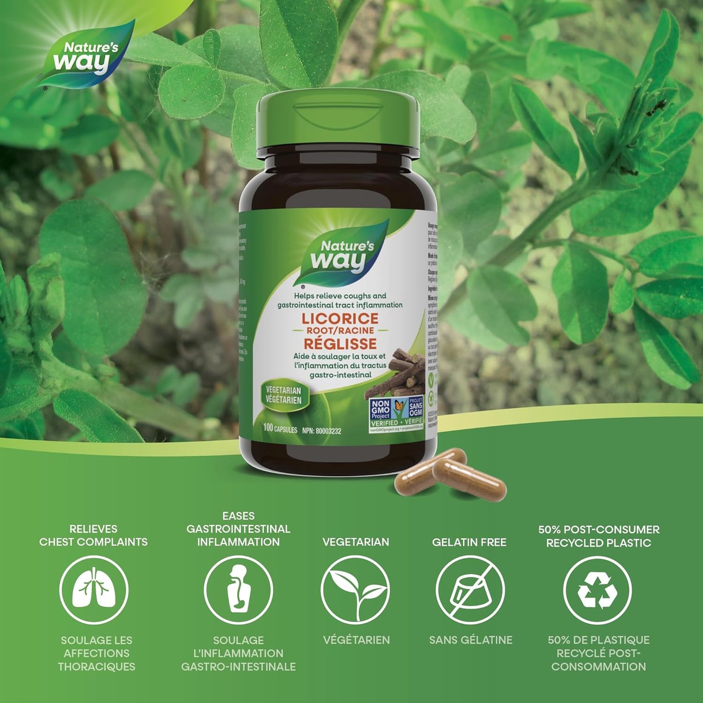 Nature's Way 甘草根素食胶囊，适用于泌尿道和肠道炎症，100 粒