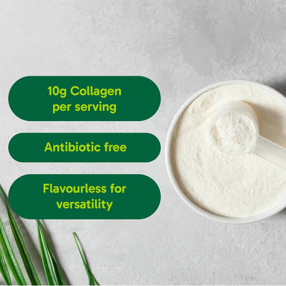 Organika Canadian-Made Enhanced Collagen Powder - for Healthy Hair, Skin, Nails, and Joints. Hydrolyzed Protein Peptides for Better Absorption- Grass-Fed, Non-GMO- Unflavoured- 750g