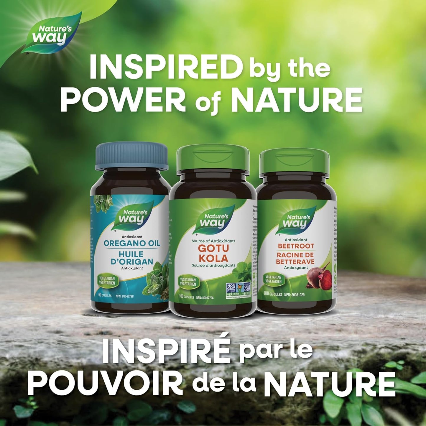 Nature's Way 优质积雪草 – 抗氧化剂来源 – 非转基因，100% 素食 – 超值装，180 粒胶囊