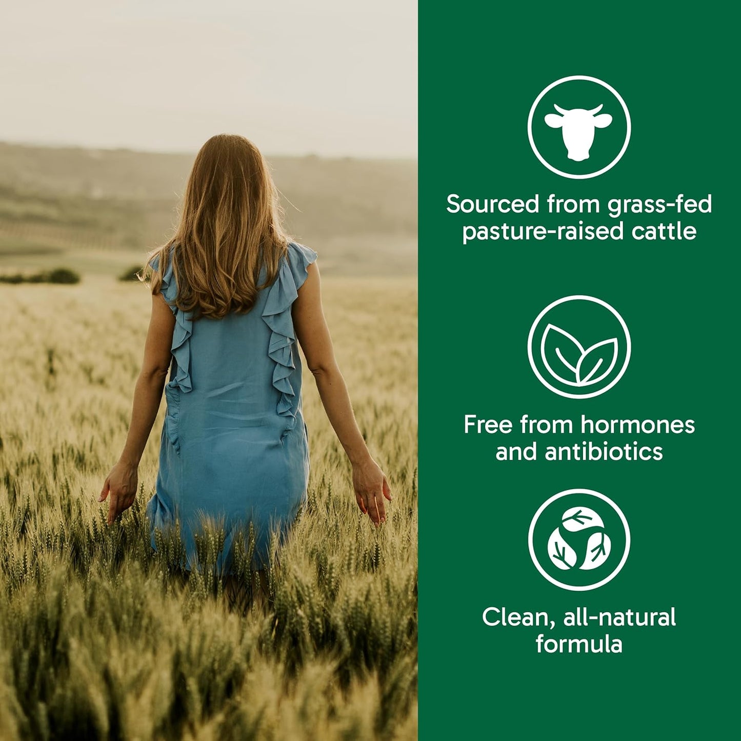 Organika 加拿大製造初乳（牛）- 免疫支持，草飼 - 150克