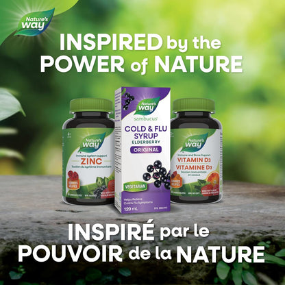 Nature's Way 接骨木感冒和流感护理原味 - 草药接骨木糖浆，有助于缓解成人症状（咳嗽和喉咙痛），120 毫升