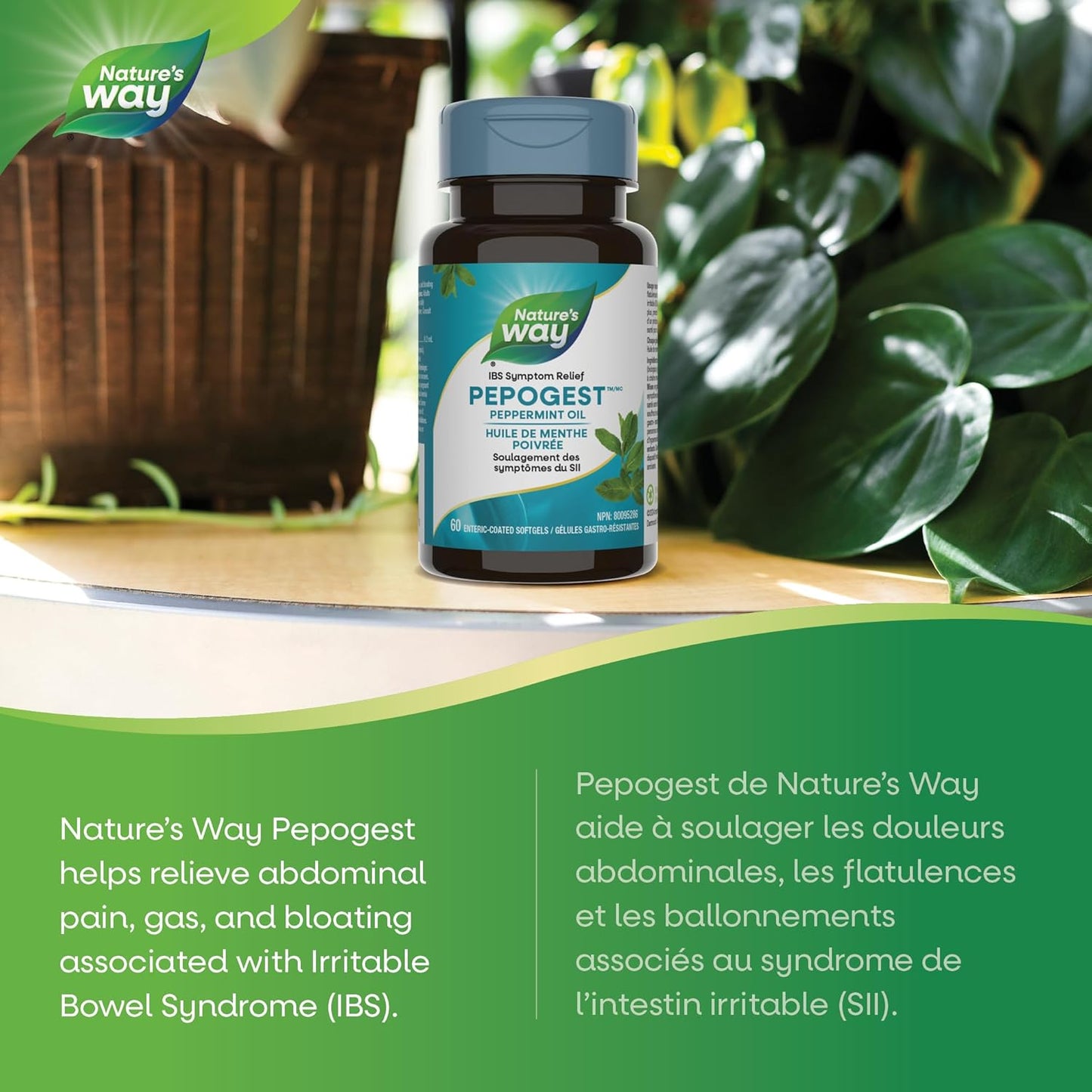 Nature’s Way Pepogest 薄荷油胶囊 - 缓解肠易激综合征 (IBS) 症状 - 有助于减轻腹痛、胀气和腹胀 - 60 粒胶囊