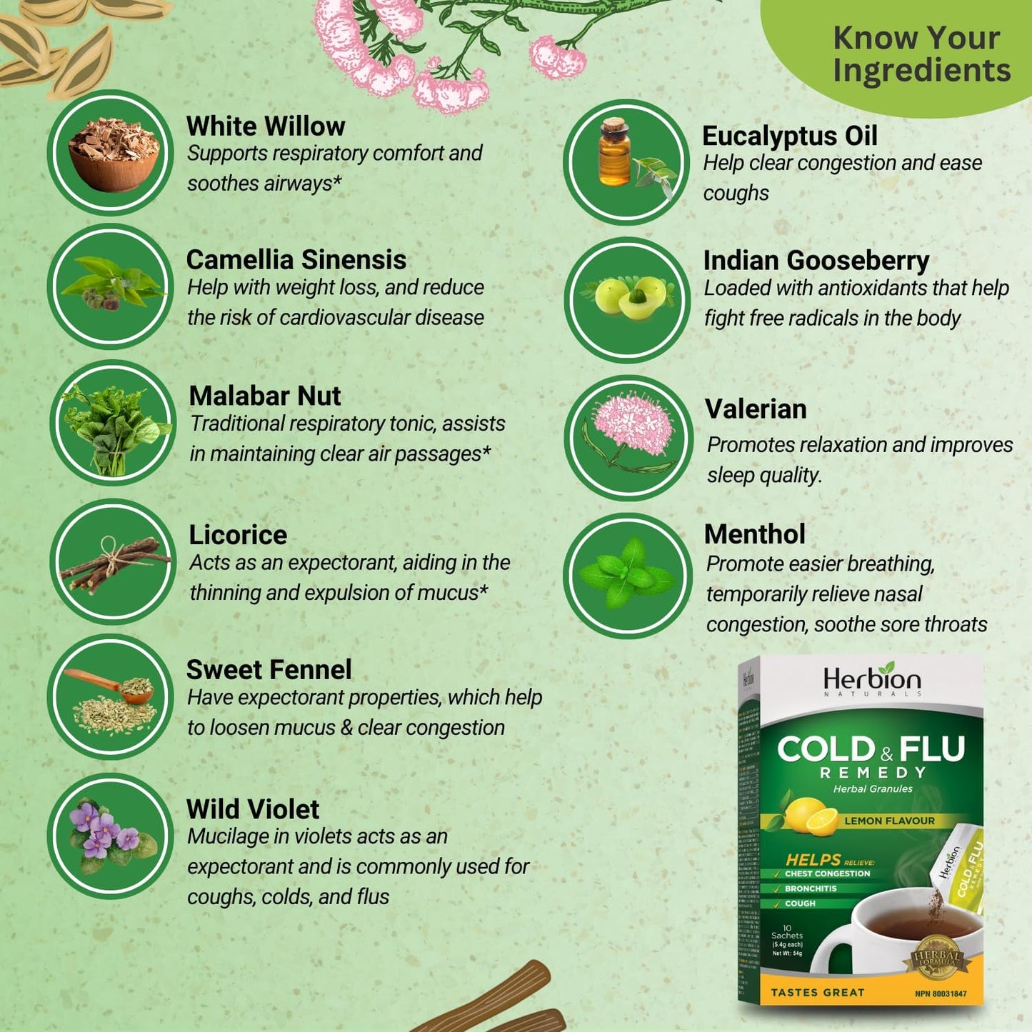 Herbion Naturals 感冒和流感草药颗粒，天然柠檬味，10 袋装 - 有助于缓解咳嗽和胸闷