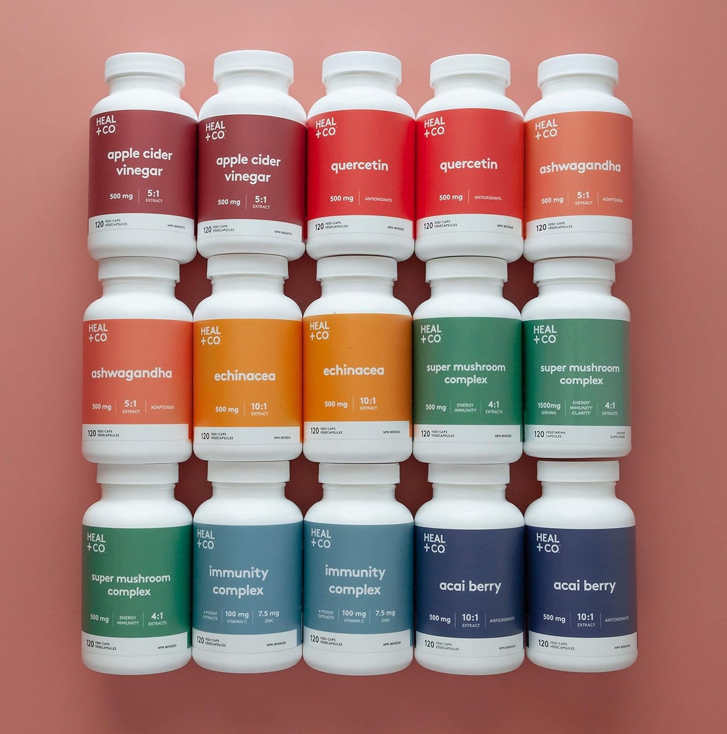 HEAL + CO. 南非醉茄補充劑 | 高效 5:1 萃取物，每份 5000 毫克 | 緩解壓力 + 補充能量 | 120 粒 500 毫克膠囊