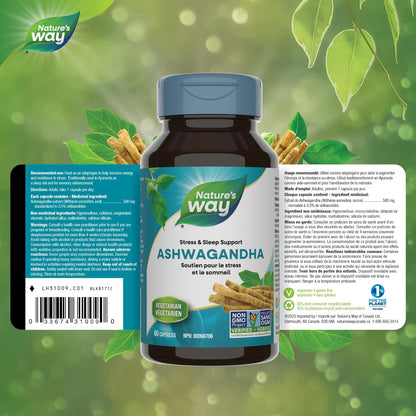 Nature’s Way Ashwagandha – 500 mg Ashwagandha Root Extract – Stress & Sleep Support – 60 Vegetarian Capsules, Non-GMO