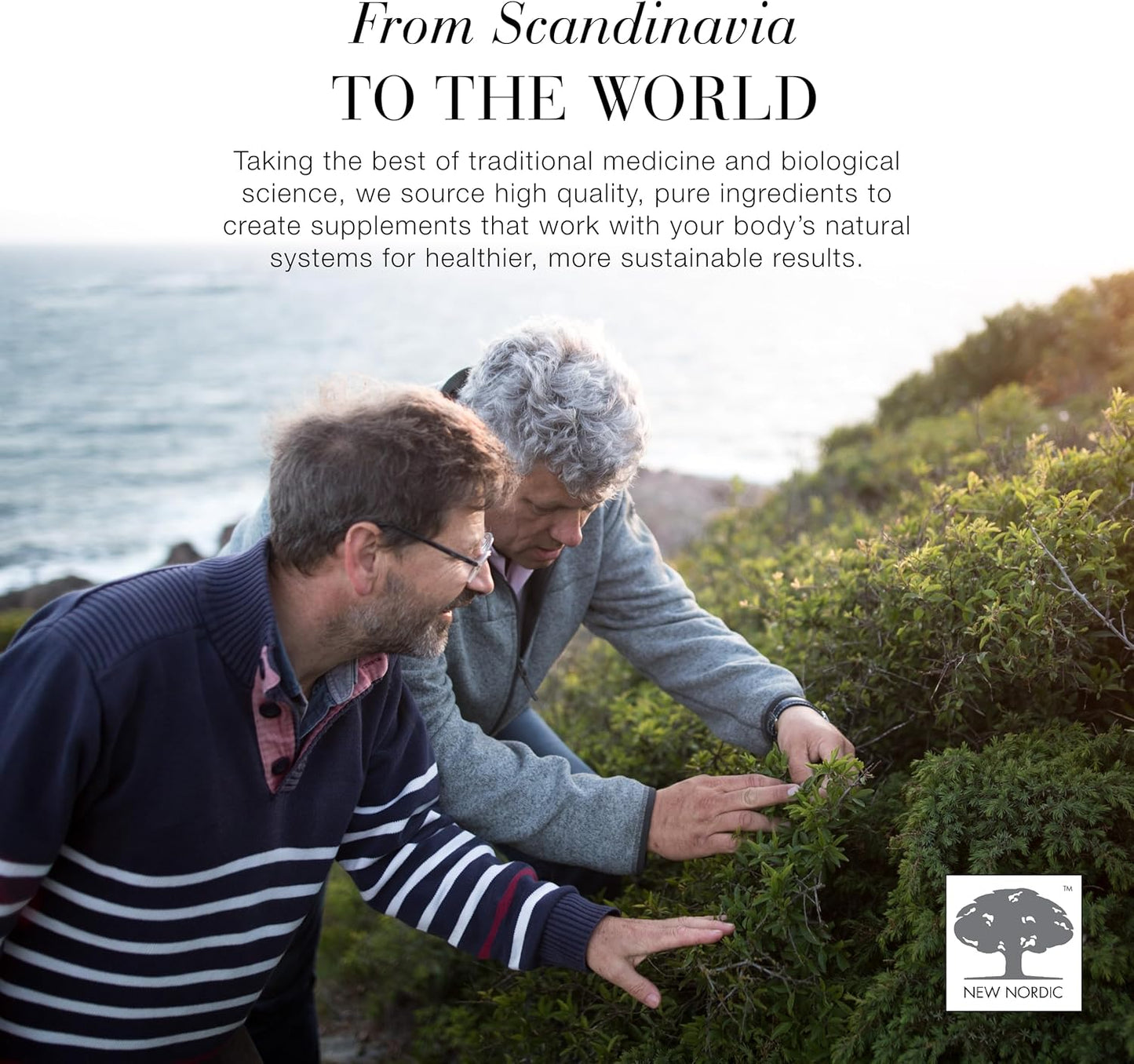 New Nordic Ashwagandha Gummies - Dietary Supplement for Stress Relief & Energy Support - Sugar-Free, Non-GMO, Gluten-Free & Dairy-Free - 60 Vegan Gummies