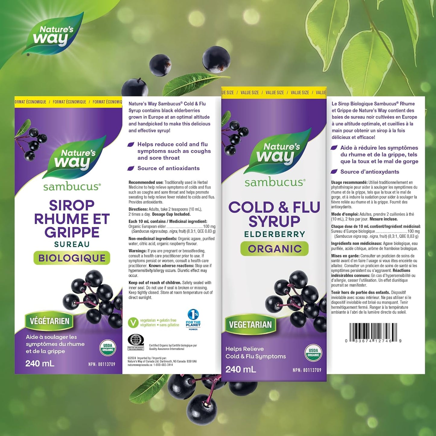 Nature's Way 有机接骨木糖浆感冒和流感护理 - 草药接骨木糖浆，帮助缓解成人症状（咳嗽和喉咙痛），240 毫升