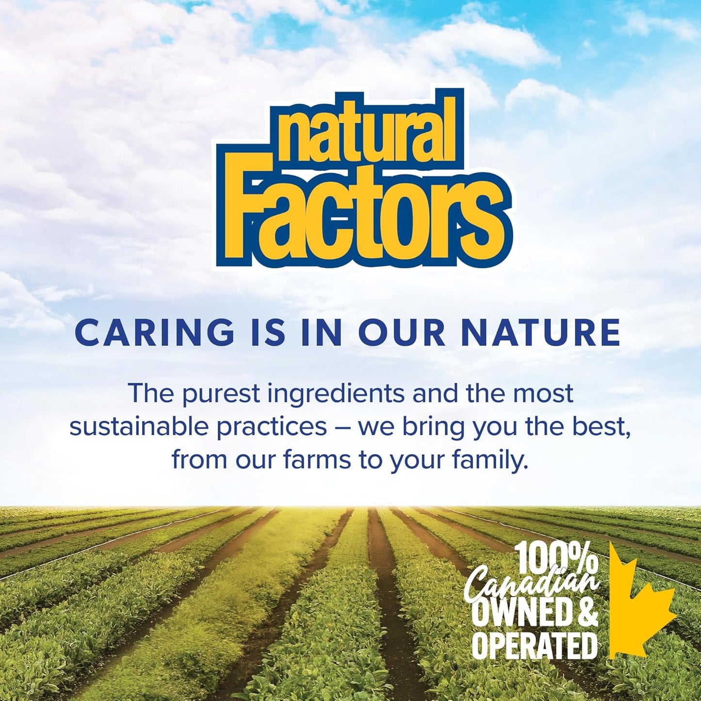 Natural Factors Critical Care Probiotic 55 Billion Live Probiotic Cultures, 9-Strain Formula, HIGH POTENCY, 80 Vegetarian Capsules, VALUE SIZE, Supports Acute Digestive Needs & Restores Intestinal Balance, Proudly Canadian