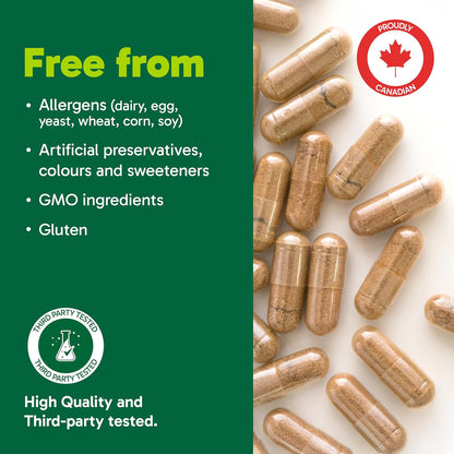 Organika 牛肝加胆碱 - 源自草饲牛和育肥牛，牧场饲养，富含维生素和矿物质，支持肝功能、能量水平和免疫力 - 90 粒胶囊