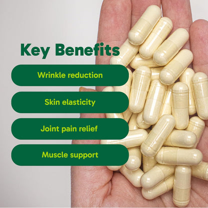 Organika Biocell Collagen- Type 2 Collagen, Hyaluronic Acid, Chondroitin Sulfate, Joint Support- 180caps