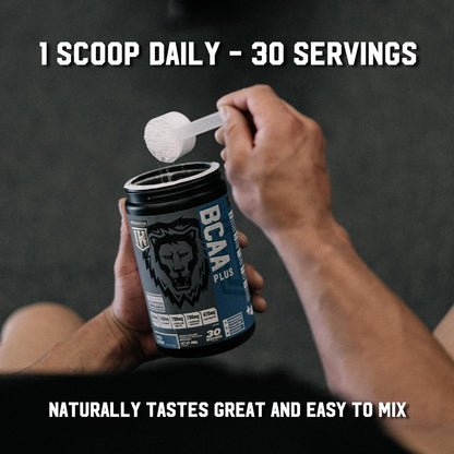 IRON KINGDOM BCAA PLUS WILD BERRY 10.1克 胺基酸、電解質、麩醯胺酸、耐力、恢復、補水