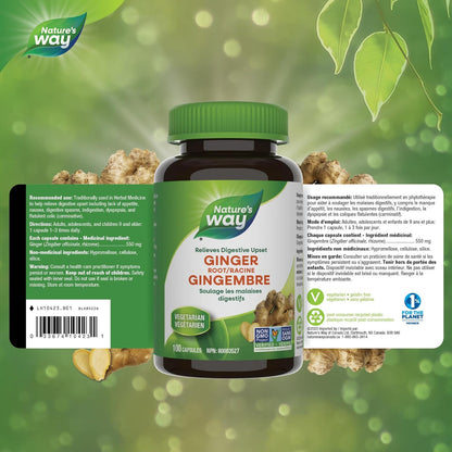 Nature's Way Ginger Root – Traditional Digestive Support Supplement – Helps Relieve Digestive Upset – Gluten Free, Vegetarian, Non-GMO – 100 Capsules
