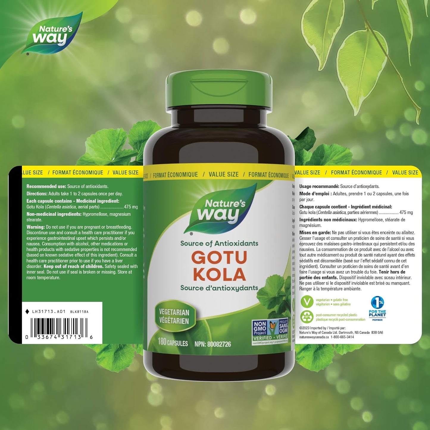 Nature's Way 优质积雪草 – 抗氧化剂来源 – 非转基因，100% 素食 – 超值装，180 粒胶囊