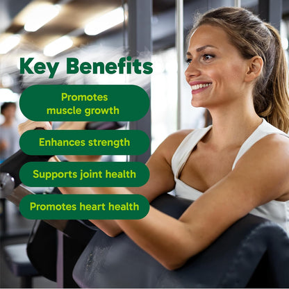 Organika Canadian-Made Enhanced Collagen Sport- 20g Collagen Protein + Creatine, Taurine, and Compete Amino Acid Profile- Promotes Muscle Growth, Strength, and Joint Health- Unflavoured- 517g