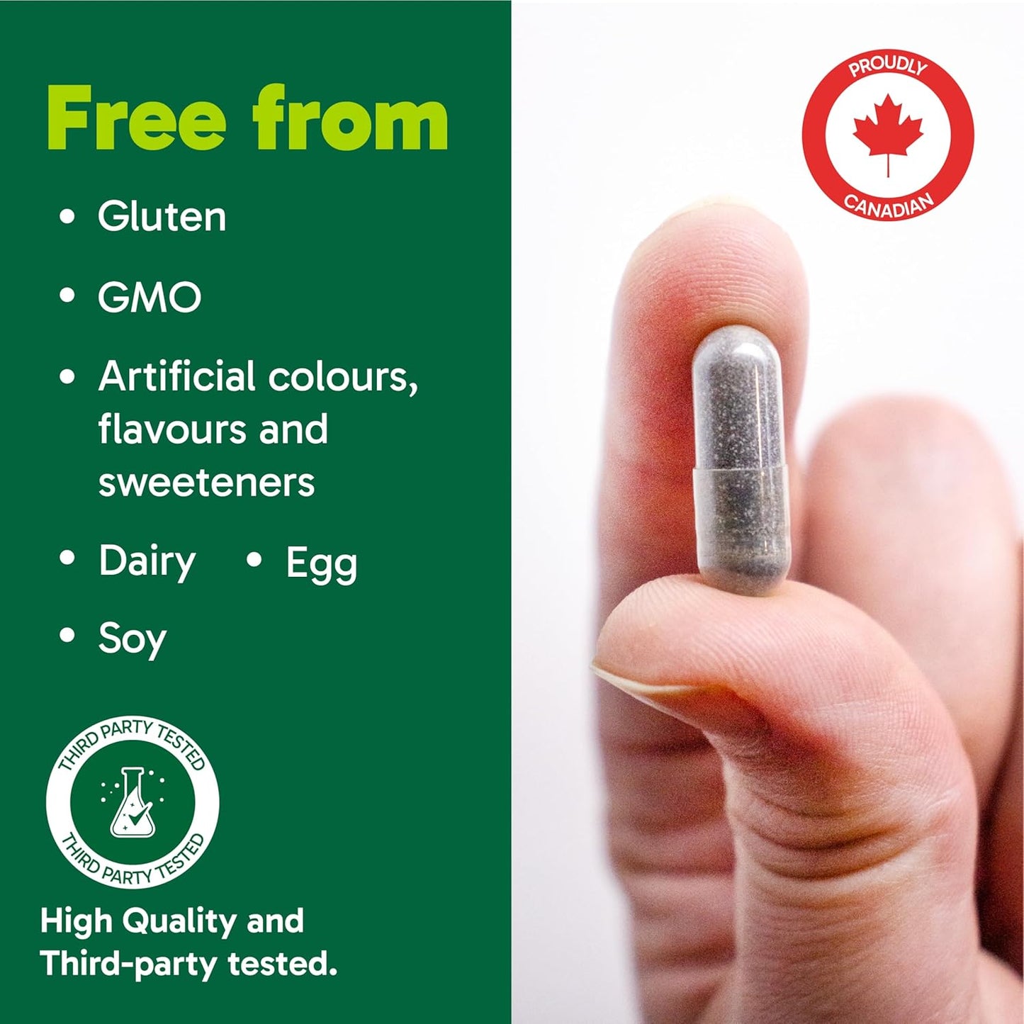 Organika 加拿大制造消化缓解片 - 含生姜和活性炭 - 缓解消化不良，90 片（1 包）