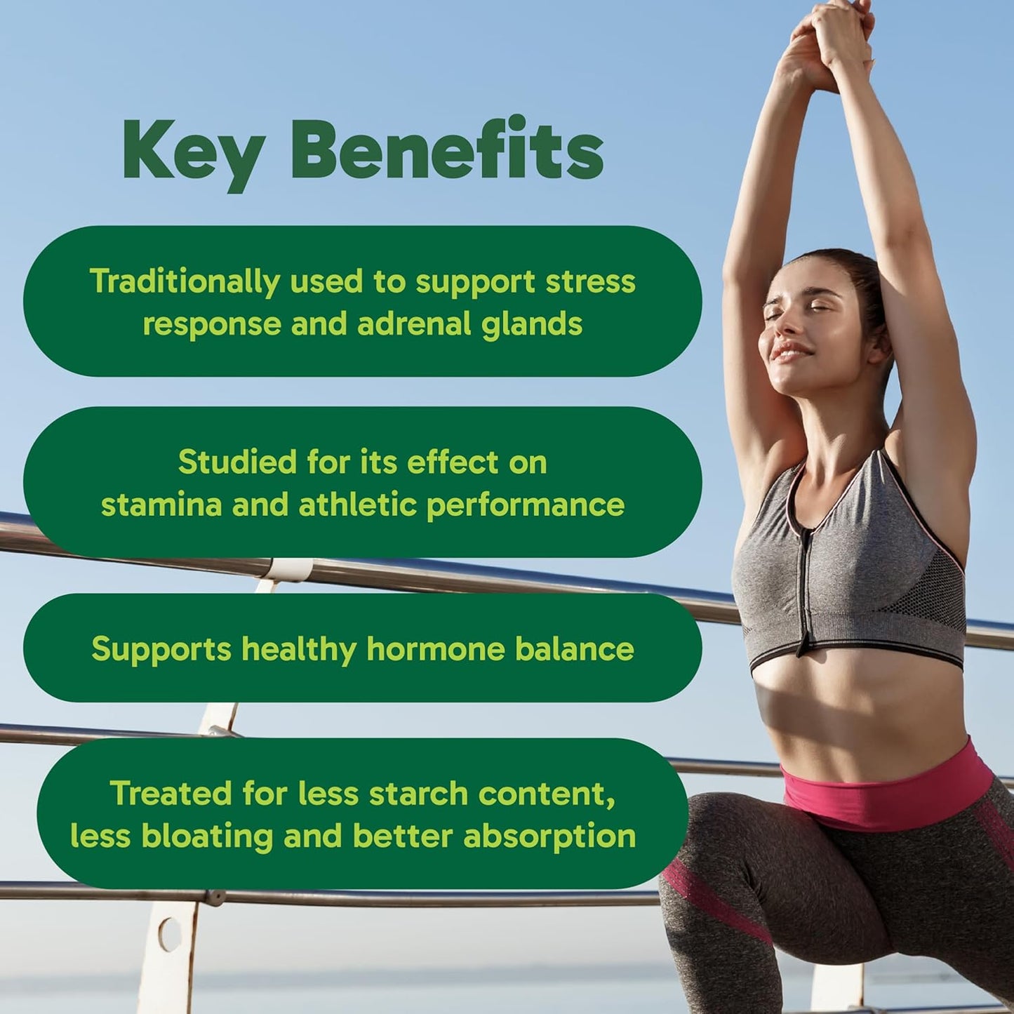 Organika 玛卡认证有机粉 - 糊化以提高生物利用度、平衡荷尔蒙、适应原，有助于缓解压力和补充能量 - 400 克