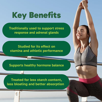 Organika 玛卡认证有机粉 - 糊化以提高生物利用度、平衡荷尔蒙、适应原以帮助缓解压力和补充能量 - 200 克